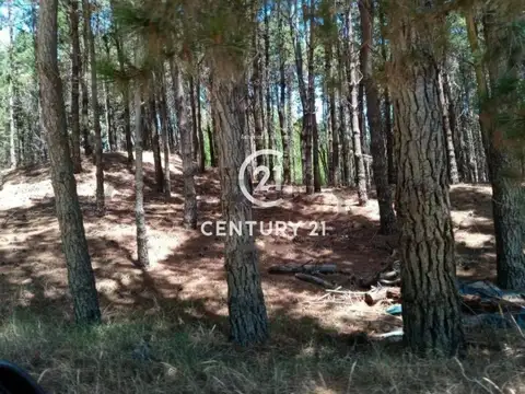 Terreno en Venta de 945,0 m2