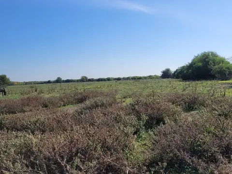 Campo 63 Has. Palavecino Gualeguaychú