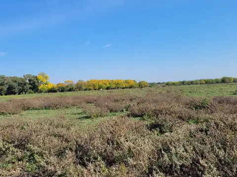 Campo 63 Has. Palavecino  Gualeguaychú