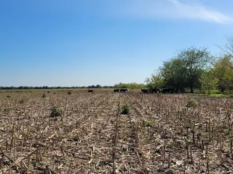 Campo 63 Has. Palavecino  Gualeguaychú