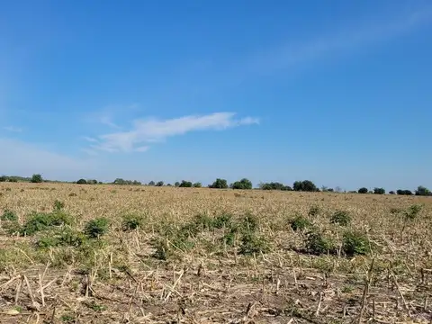 Campo 63 Has. Palavecino Gualeguaychú