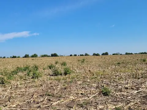 Campo 63 Has. Palavecino Gualeguaychú