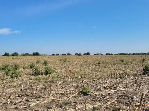 Campo 63 Has. Palavecino  Gualeguaychú