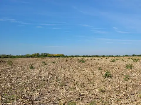 Campo 63 Has. Palavecino  Gualeguaychú