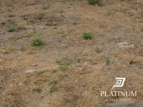 Terreno en Venta 25  mts Frente