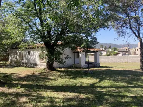 VILLA DEL LAGO, Miguel Angel 500