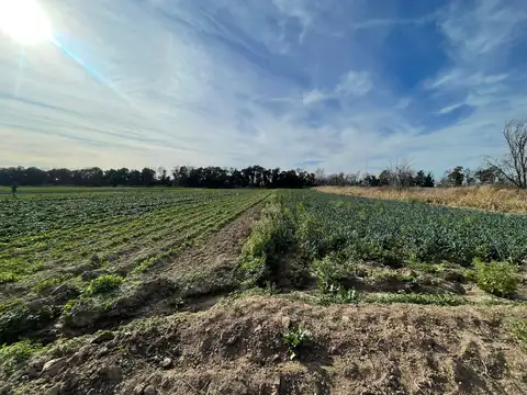 Terreno en Venta en Cordoba, USD 1.400.000