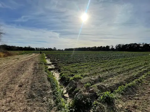 Terreno en Venta de 89961,0 m2