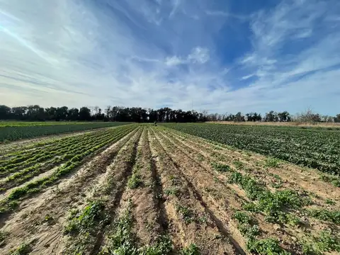 Av. las Malvinas & Sebastopol