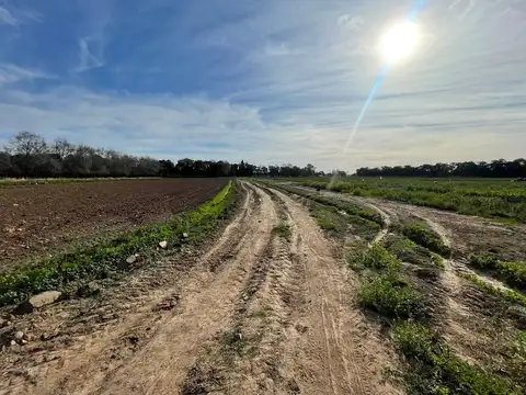 Terreno en Venta de 89961,0 m2