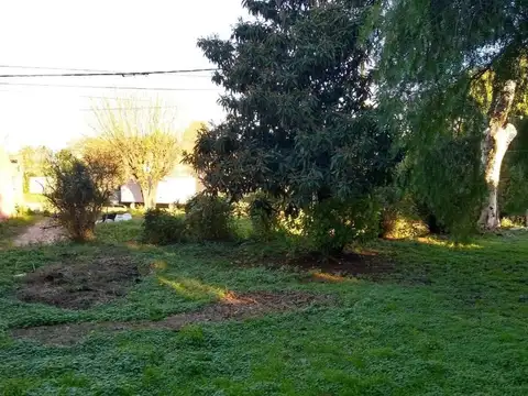 Terreno  en Venta ubicado en Victoria, Entre Ríos, Argentina