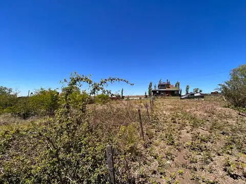 2 lotes de 300 m2 (2117)