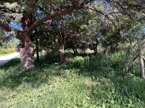 Terreno en Venta en Villa del Totoral, USD 15.000