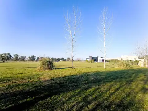 Terreno en Venta en Alejandro Petion, USD 38.000