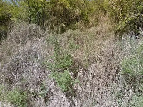 Terreno en Venta en Salsipuedes, USD 5.000