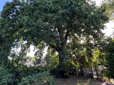 VENTA LOTE 286 M² EN TORTUGUITAS – A MTS DE RUTA 8