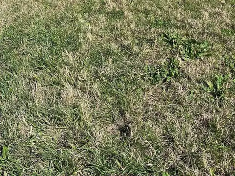 Terreno en Venta en Barrio Chapadmalal, USD 45.000