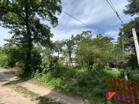 JOAQUIN V GONZALES 1000