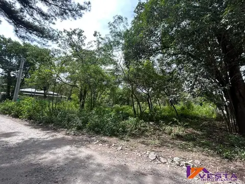 JOAQUIN V GONZALES 1000