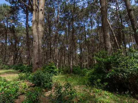 Terreno en Venta 180  mts Fondo