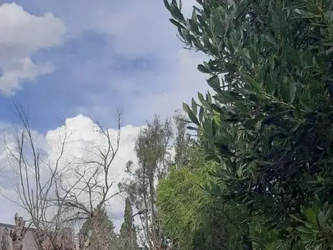 Casa quinta  en venta - 3 dormitorios 2 baños - Cocheras - 1200 mts2 - Arturo Segui