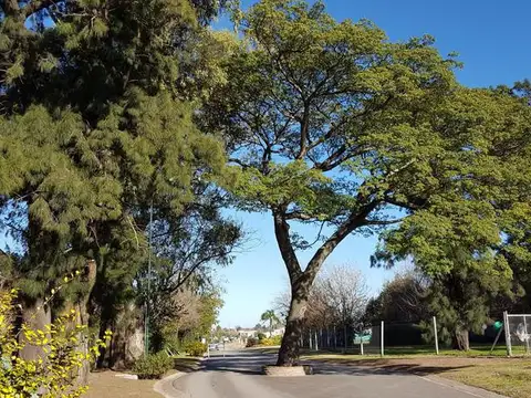 Soler 590 - Brisas de Adrogue