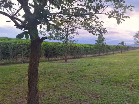 VENTA TERRENO CLUB DE CAMPO LOS NOGALES