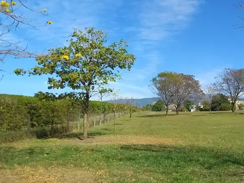 Terreno en Venta de 1972,0 m2