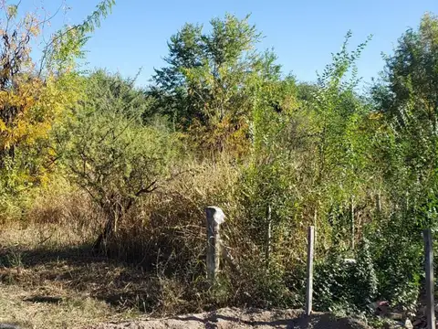 Terreno en Venta en Carpinteria, USD 16.000