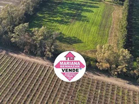 Chacra de 5 Hectáreas en Venta - San Pedro