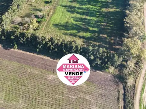 Chacra de 5 Hectáreas en Venta - San Pedro