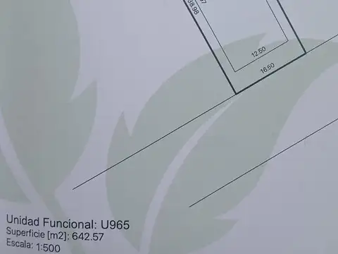 Tomas de la torre  al 5000