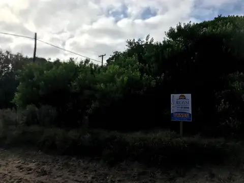 av mar del plata e/ 32 y 33