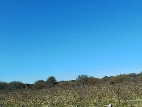 CAMPO A LA VENTA, BAÑADO SAN ANTONIO, SAN ISIDRO