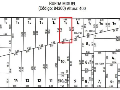 rueda 437