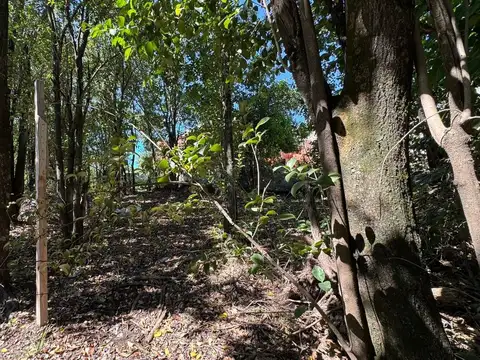 Lote en Venta 300m2 Villa Catalina, Rio Ceballos