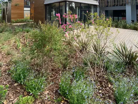 Local en Alquiler A Estrenar