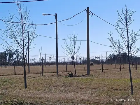 Terreno en Venta en Casilda, USD 12.000