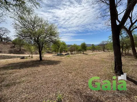 Terreno en Las Cañadas