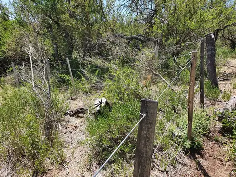 Cortaderas, Cortaderas, Chacab