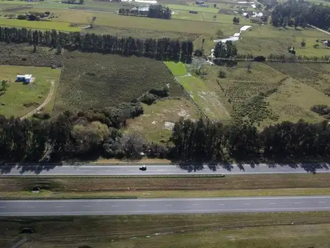 Venta de campo 3 Ha. sobre Ruta 8 Km. 45