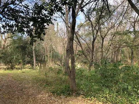 Terreno en Venta en Villa Parque Lago San Roque, USD 20.000