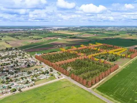 Lotes en General Lagos - BARRIO GAIA - Financiados !
