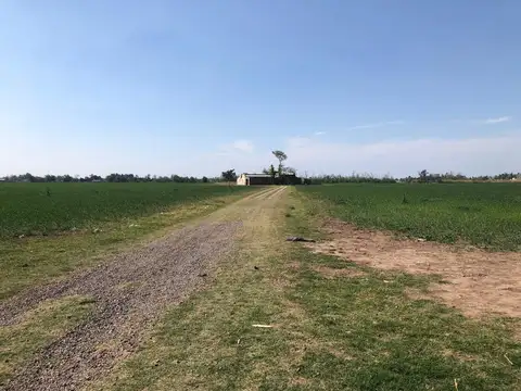 CAMPO DE 41HA EN SAN NICOLÁS DE LOS ARROYOS.