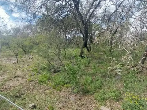 Terreno en Venta de 1993,0 m2