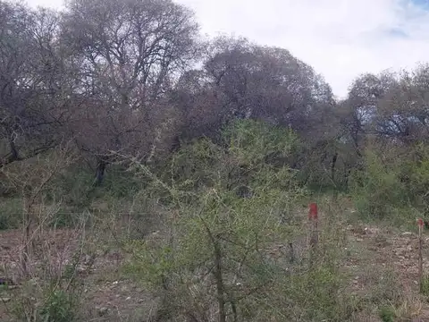 Terreno en Venta en Santa Rosa De Calamuchita, USD 12.500