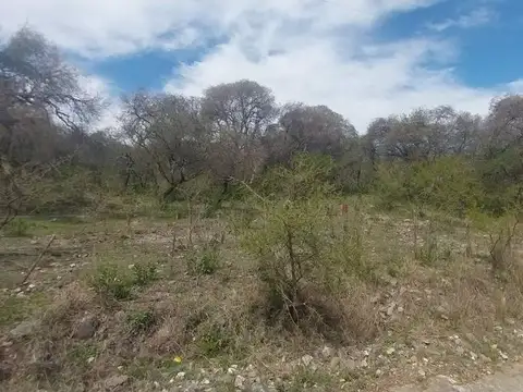 Terreno en Venta de 1993,0 m2