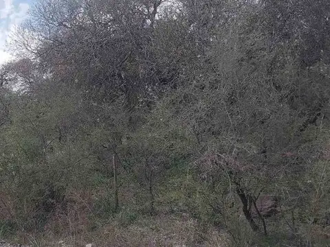 SE VENDE TERRENO 1993m2 EL PARADOR DE LA MONTAÑA