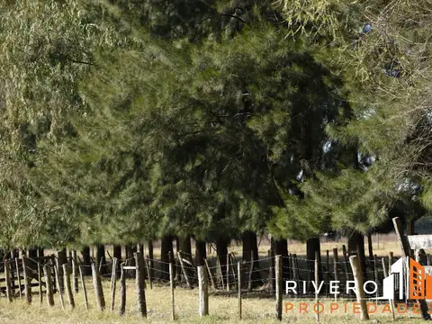 Terreno en Venta 20  mts Fondo