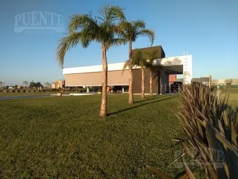 Horizontes al Sur fondo a la Laguna